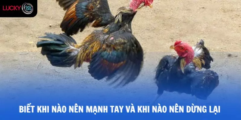 Biết khi nào nên mạnh tay và khi nào nên dừng lại