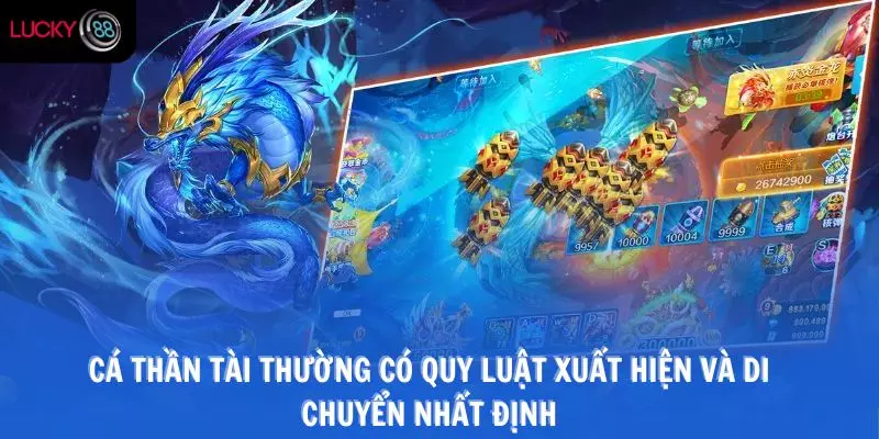 Cá thần tài thường có quy luật xuất hiện và di chuyển nhất định