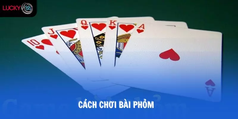 Cách chơi bài phỏm