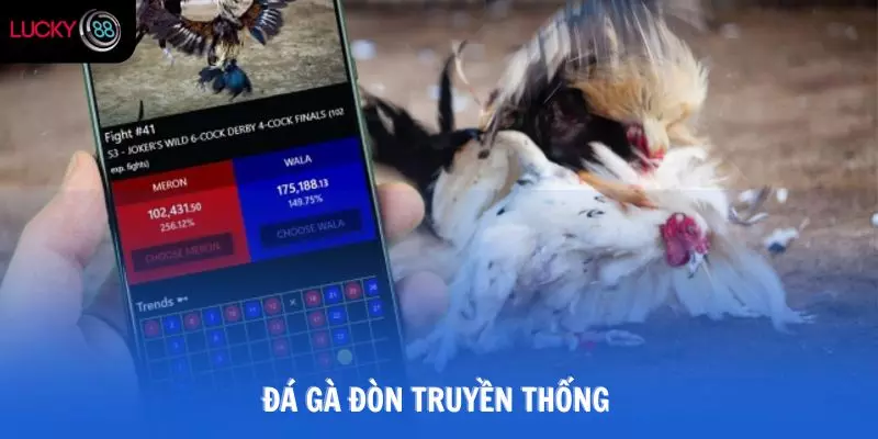 đá gà đòn truyền thống